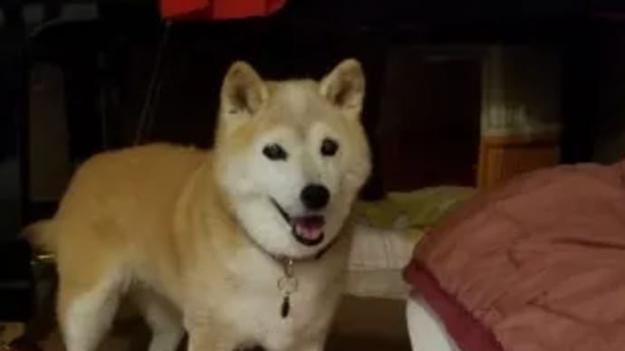 クリンの想いは尽きなくて・・・27