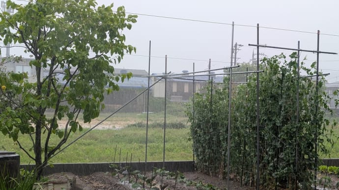 GW最終日雨
