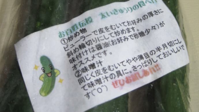 キュウリの焼酎漬け