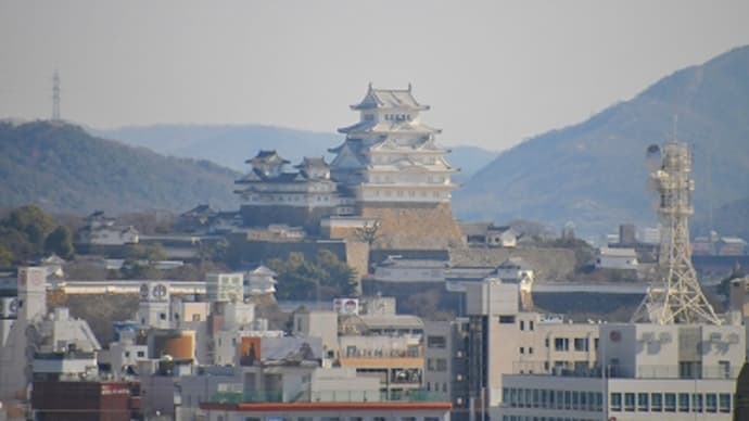 姫路城修理完成記念 ブルーインパルス
