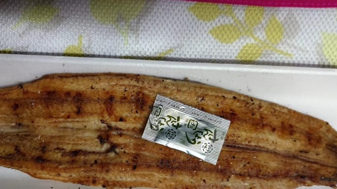 今年の“我が家の”土用の丑の日
