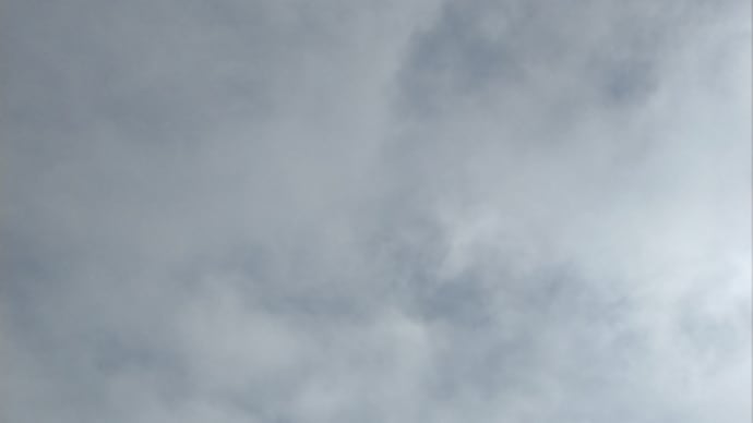 今週もスタートです