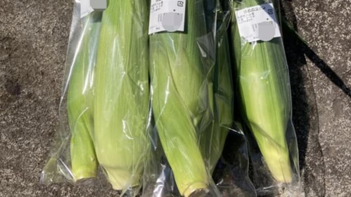 夏の食べ物”もろこし”をいただきました! お月様二十六夜