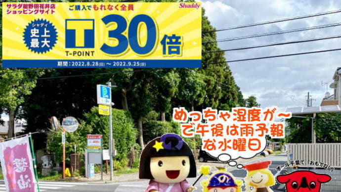 いや~困った!出産御祝~どうしよう??を即効!解決。。。AmazonペイでもPayPayでも