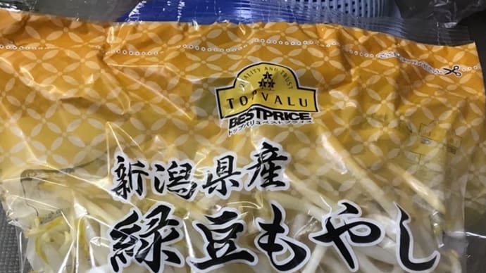 もやしを食べたよ!
