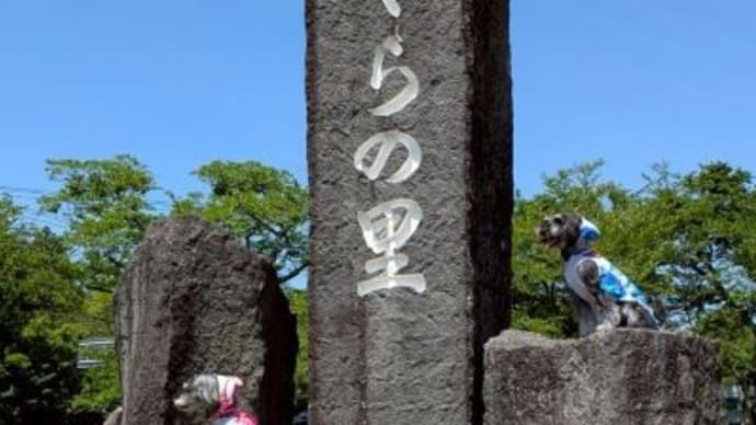 お誕生日と結婚記念日