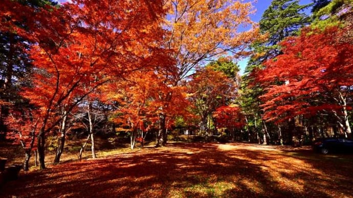 白林荘の秋