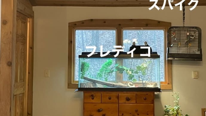収納にデコレートに