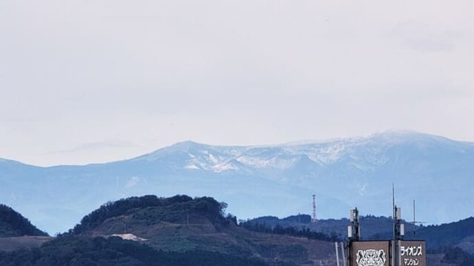 宮城風VS山形風・・・マンション自治会・芋煮会