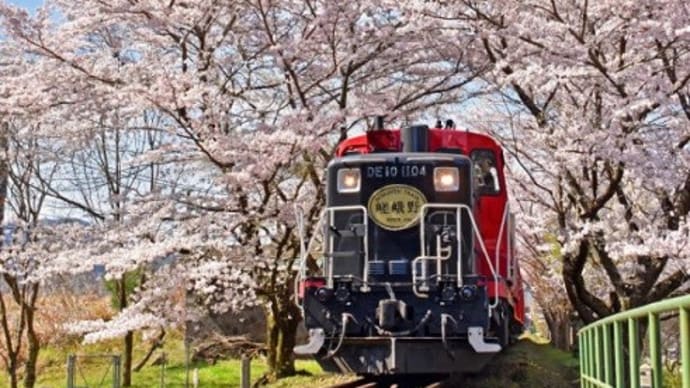 トロッコ列車から枝っぷり