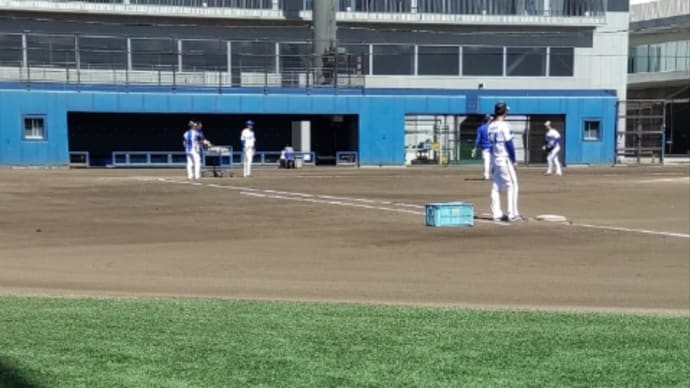 最近は野球女子が多くなりました