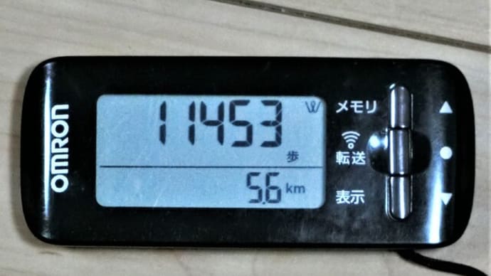 今朝の散歩は ちょっと 歩き過ぎました(´・_・`)