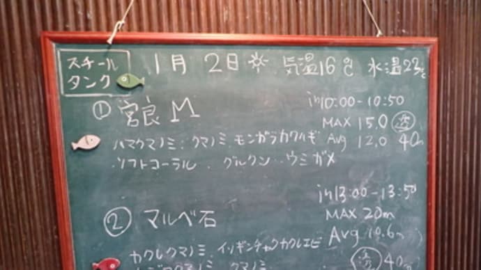 本日のダイビングログ