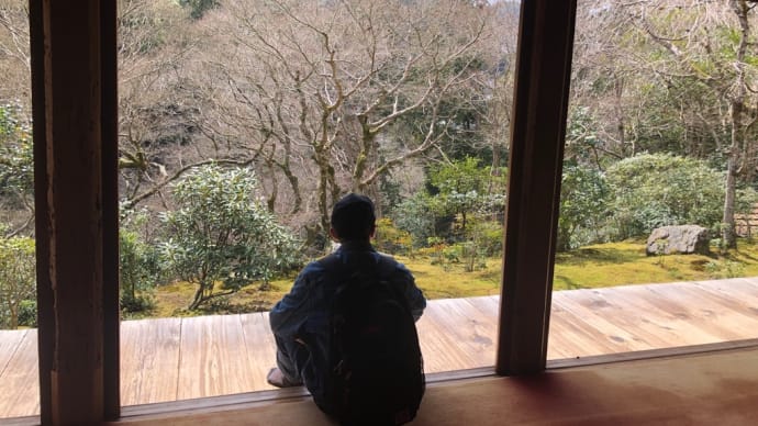 弾丸旅行 第7弾 京都再び 1 念願の高山寺