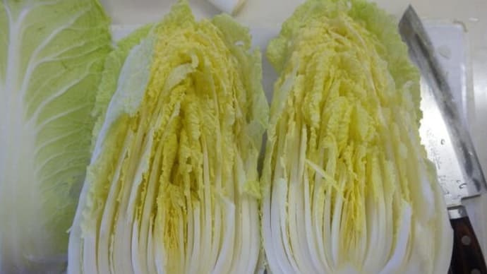 やっぱり白菜