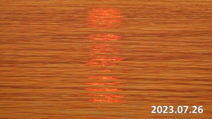 達磨太陽(朝陽) 2023年だるま朝日14号 7月26日