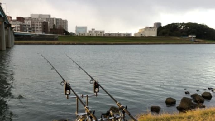 12月26日の鯉釣り