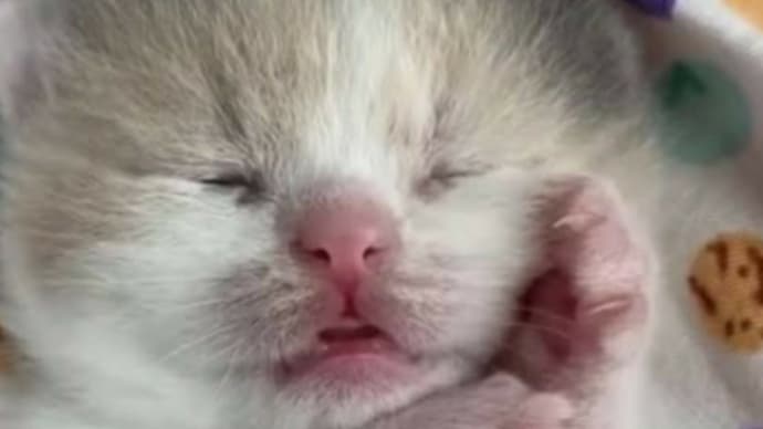 今日も1日お疲れ様です😌💓