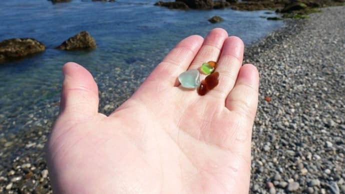 祝島の海岸の植物たち