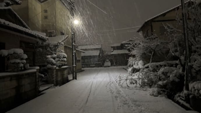 やっと積もった