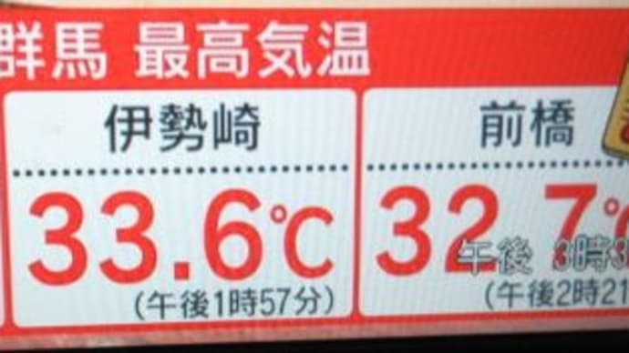 ご近所散歩(5/25)