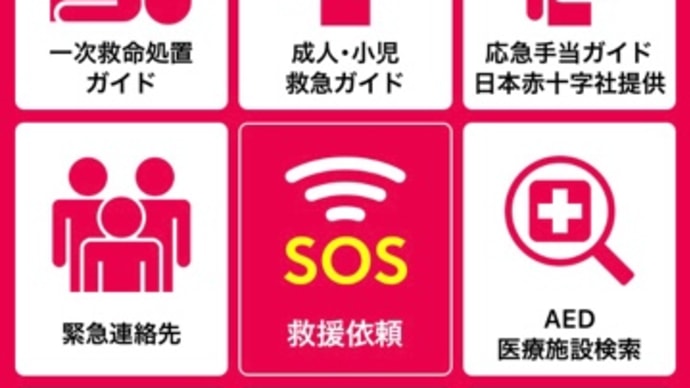 コロナ一時帰国 自己隔離中の詳細 5