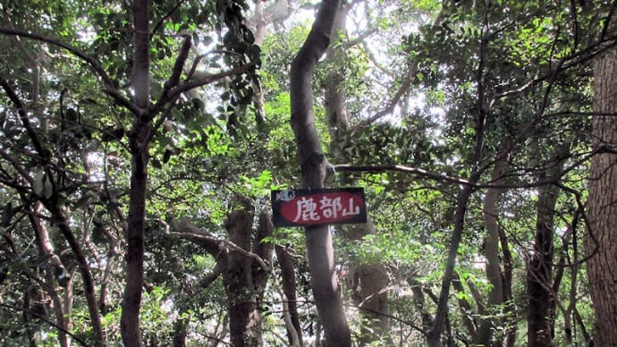 鹿部山68
