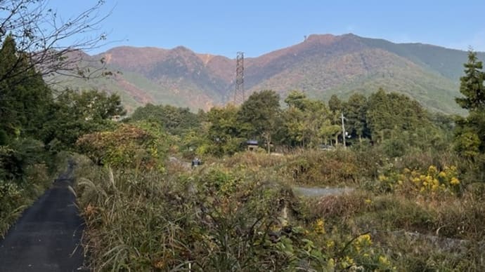 「日本三百名山」の蓬莱山と打見山へ登る！～下山は紅葉見物～
