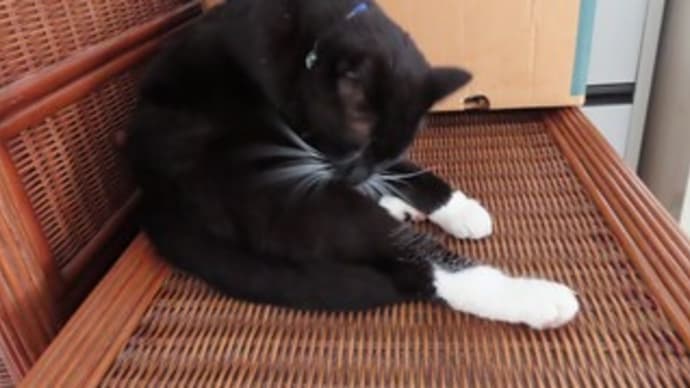 そのままにできない事情