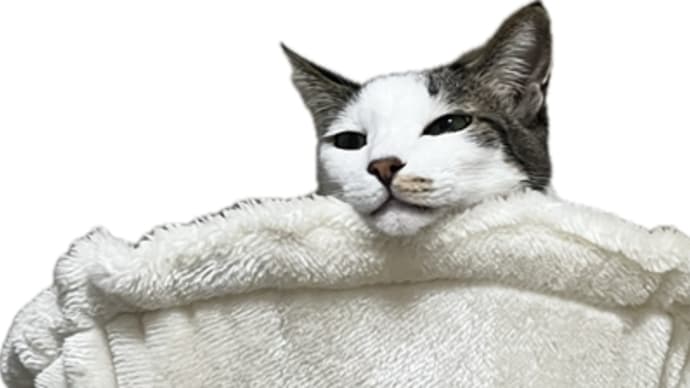 猫風邪が巡る