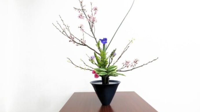 サクラで真と副・・上下重ねてサクラを強調・・立花