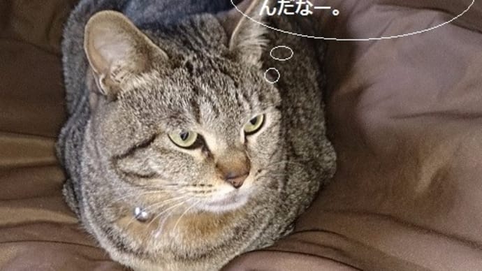 宇宙・・・どんな所だろ?
