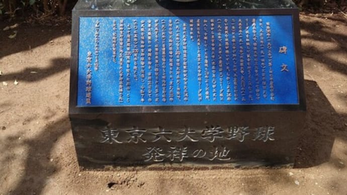 2025年東京六大学野球初観戦
