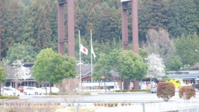 東日本大震災から31日目