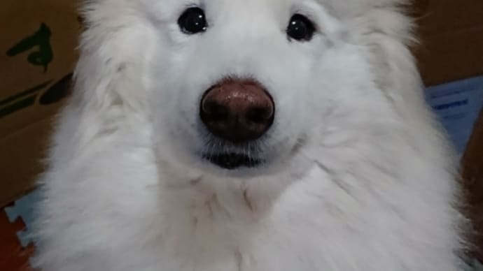 静かな家