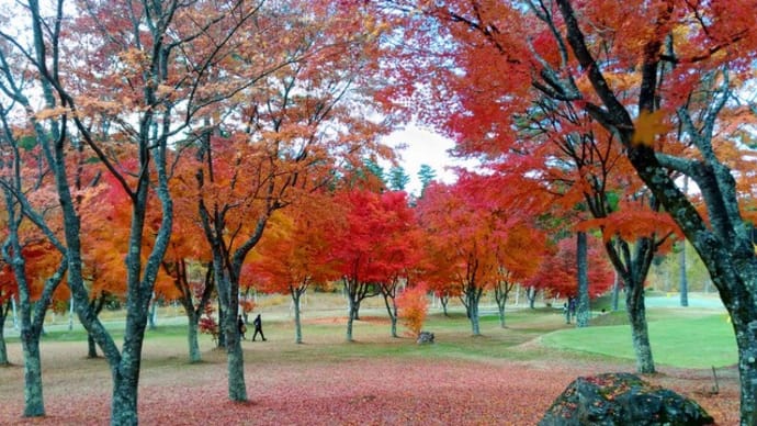 家族サービスで八ヶ岳裾野の紅葉狩り