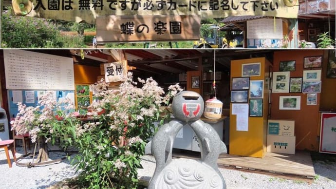 2024蝶の楽園in軽井沢