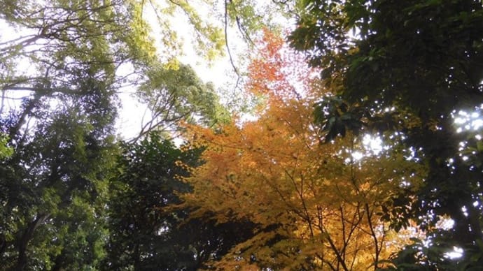 名残りの紅葉と巨大絵馬
