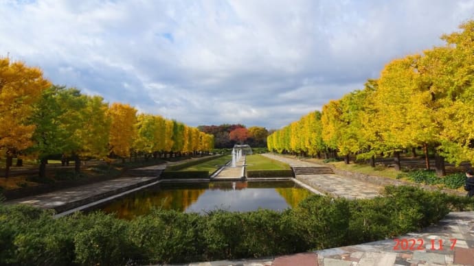 昭和記念公園の紅葉(Part2)