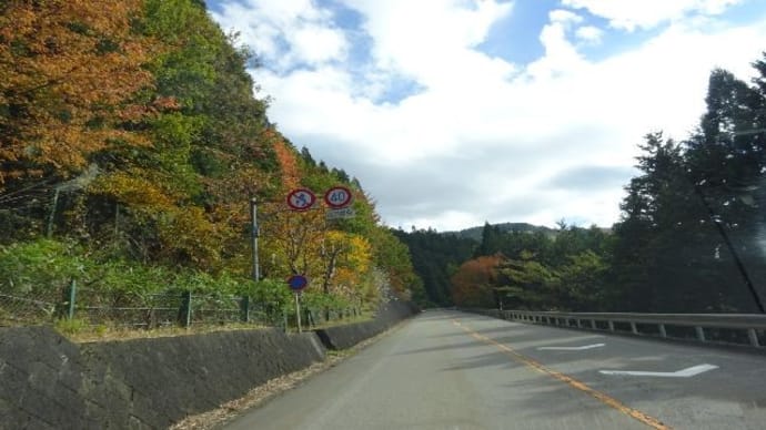 道の駅パスカル清見