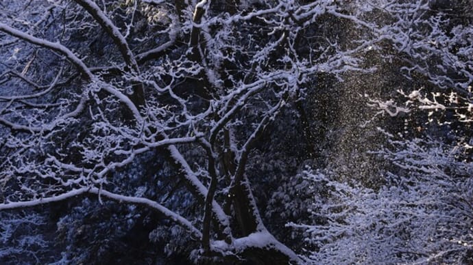 雪落ちる