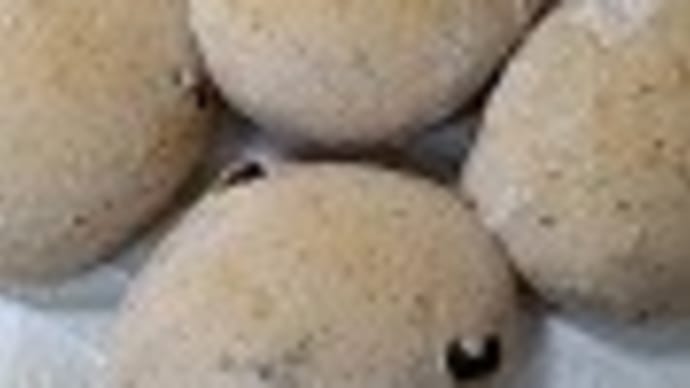 ウグイスが遊びに来ました! ヨーグルト入りパン