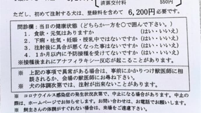 新年度の始まりですね