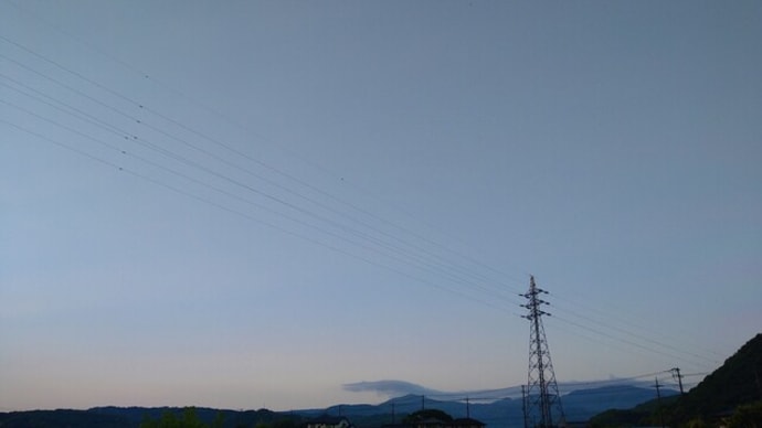 カモ夫婦の空