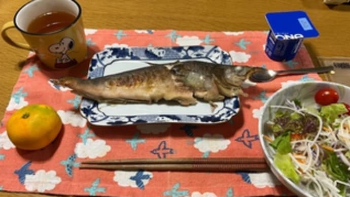 今日の晩御飯