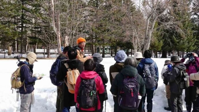 2025年3月25日(火) さっぽろ自然散歩「真駒内公園」