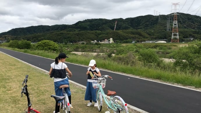運動