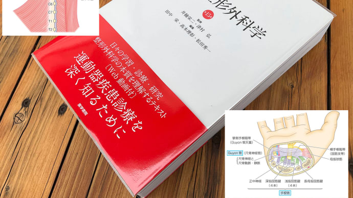 「標準整形外科学」の第15版