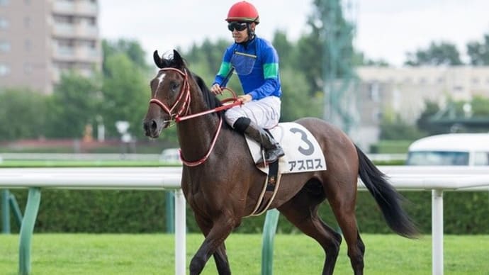 【アスロス】来週半ばに競走馬リハビリテーションセンターへ