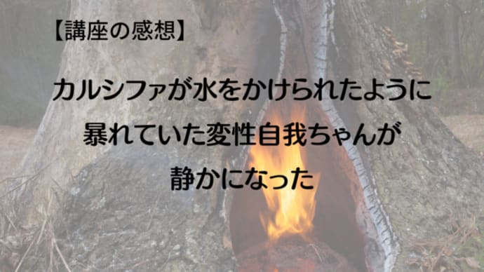 【講座の感想】カルシファが水をかけられたように暴れていた変性自我ちゃんが静かになった
